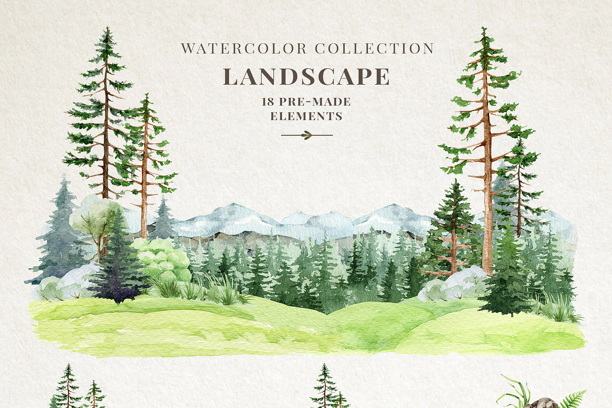 Woodland Animals Watercolor Clipart, an Animal Illustration by AnitaPol (Photo 6 of 17)