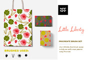 Little Liberty Procreate Brush Set, a Brush Add-On by CC CREATIVE CO (Thumbnail 6 of 12)