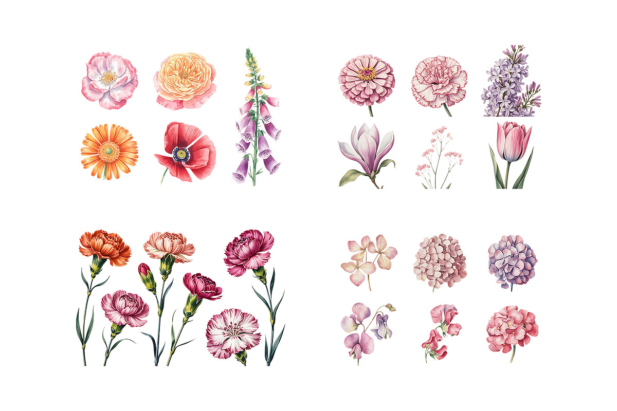Watercolor Floral Clipart, a Decorative Illustration by ForhadGFX (Photo 8 of 12)