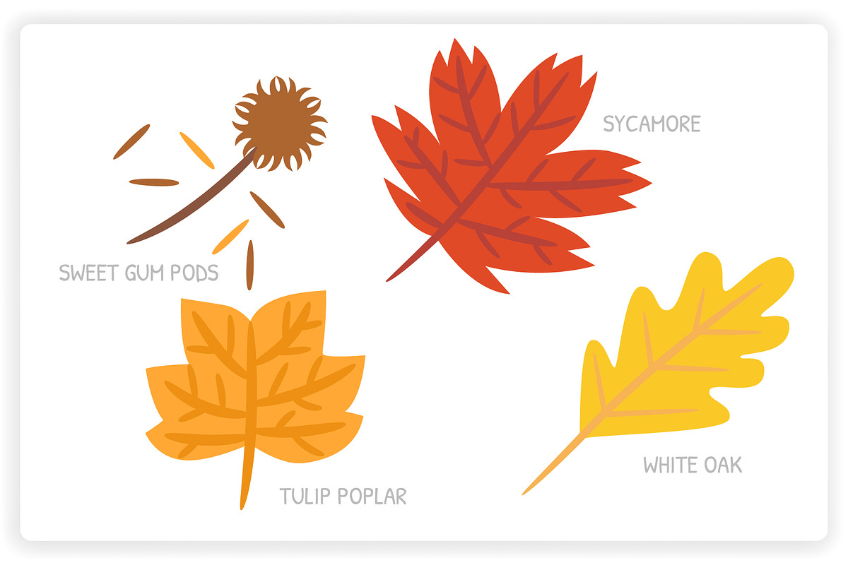 36 Autumn Elements + 12 Patterns, a Graphic by monkik (Photo 7 of 12)