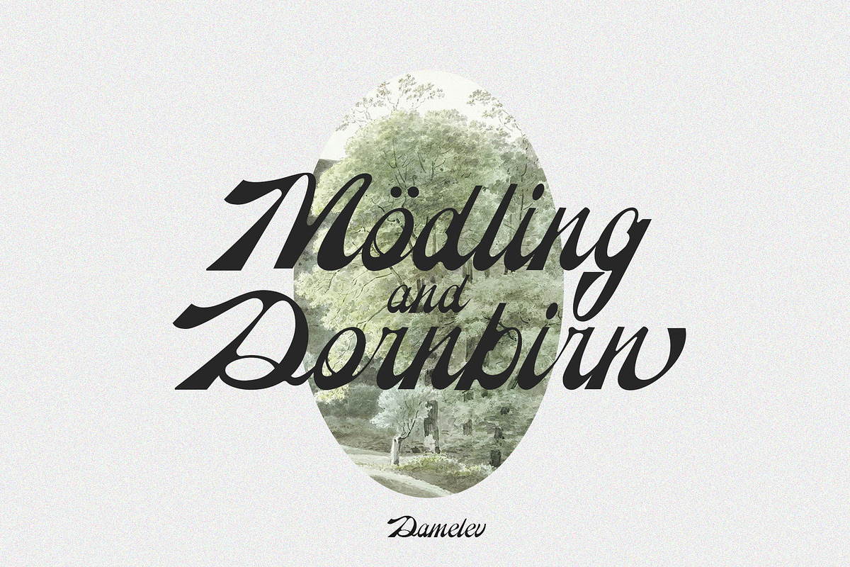 Reinhart Script, a Script Font by Damelev (Photo 8 of 9)