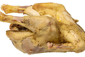 A whole boiled chicken, pale yellow in color,  isolated backgrou, a Food & Drink Photo by ndanko