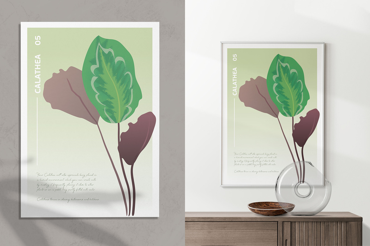 6 House Plants | Botanical Bundle, a Decorative Illustration by Lines And Crafts (Photo 7 of 7)