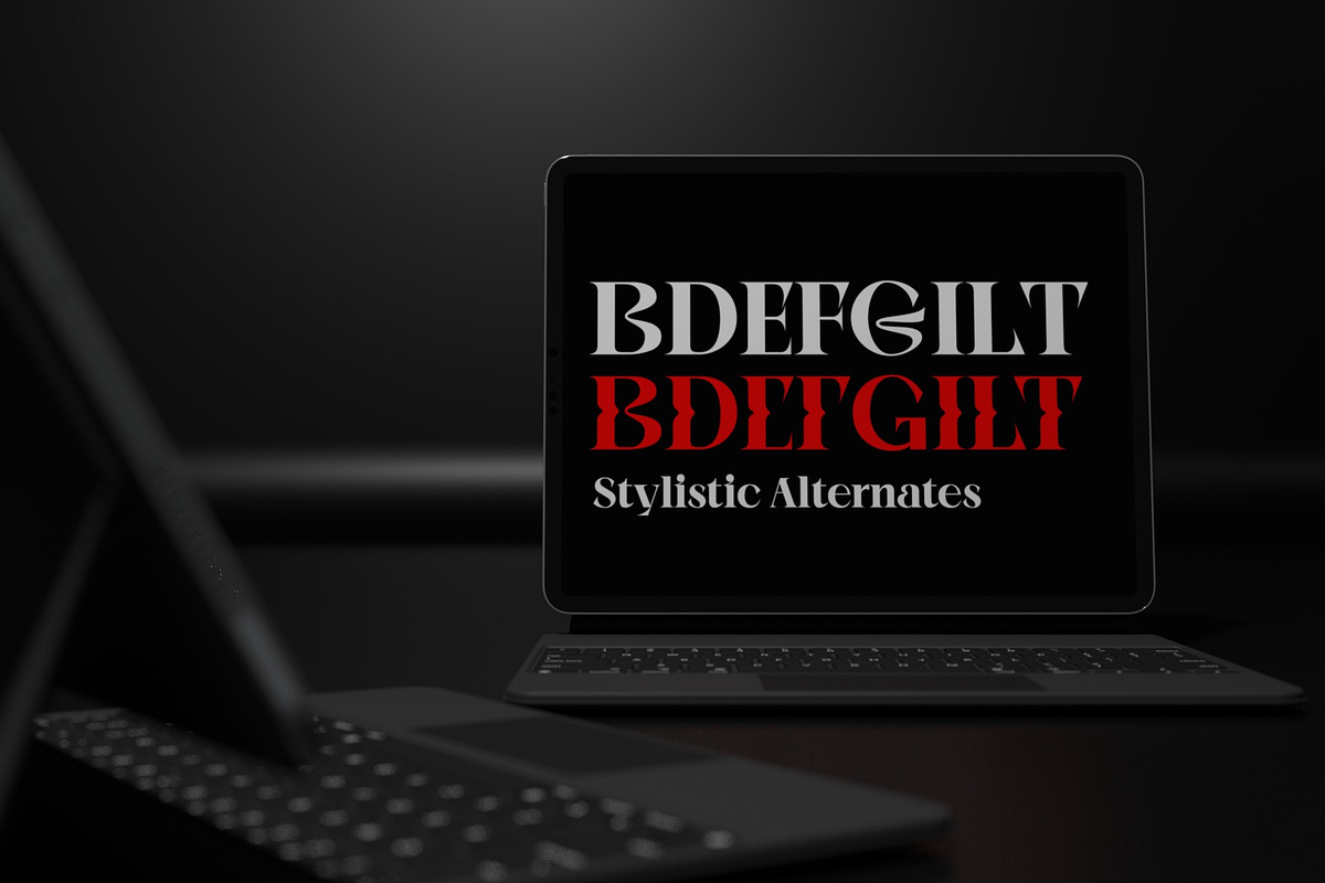 BeOkay Display Serif, a Serif Font by Ryul Davidson (Photo 7 of 17)