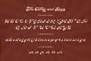 The Candy And Boy, a Serif Font by Allmostudio (Thumbnail 9 of 13)