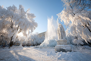 Frozen winter park with ice-covered trees and fountain at midday, a Photo by AlyaAnd