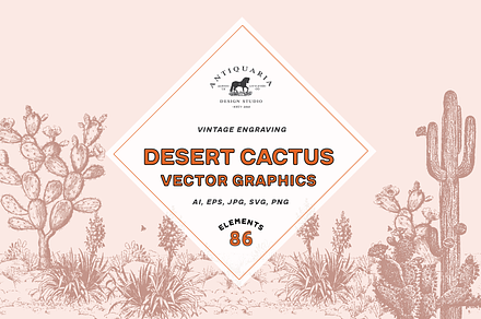 Vintage Cactus Vector Graphics