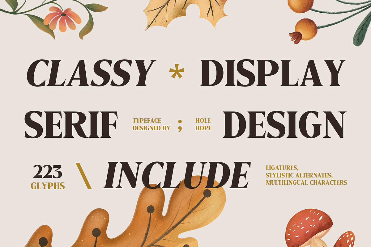 Manega | Vintage Serif Display Font, a Serif Font by Hole Hope Design