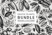 Exotic Plants. Designs & Patterns., a Pattern Graphic by Yevheniia (Thumbnail 1 of 9)
