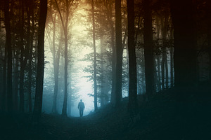 Man in mysterious forest Hi-Res