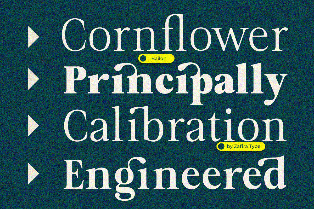 Bailon, a Serif Font by Zafiratype (Photo 2 of 15)