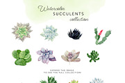 Watercolor Succulent Illustrations, an Illustration by One and Only Paper (Thumbnail 3 of 6)