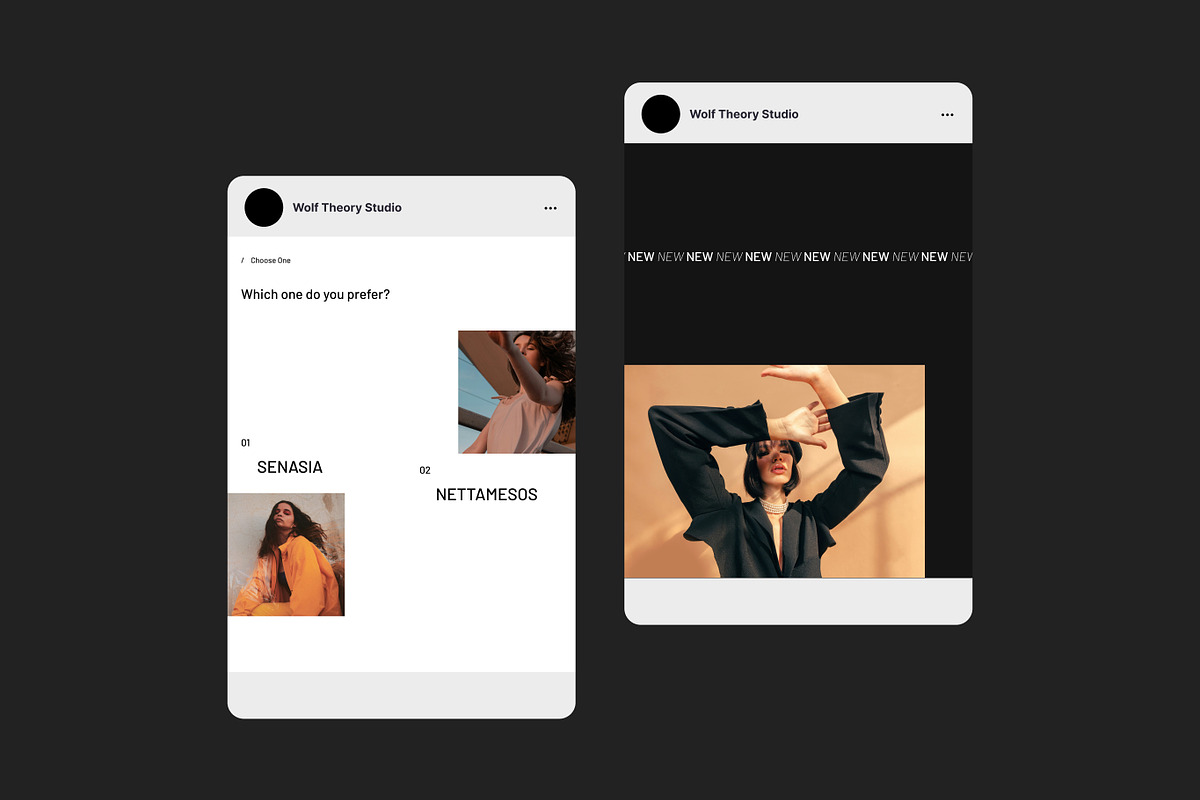 Fashion E-Commerce Post Bundle, a Social Media Template by Wolf Theory Studio (Photo 5 of 10)