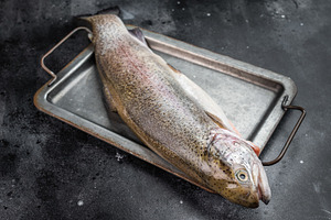 Raw trout whole on tray with herbs and spices overhead view seaf