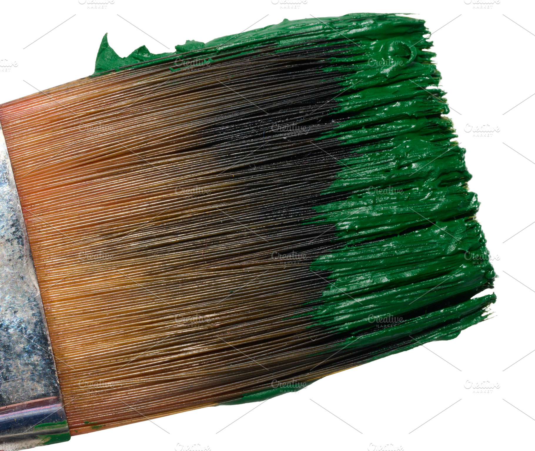 Brush with green oil paint on isolated background, bristles, an Abstract Photo by ndanko