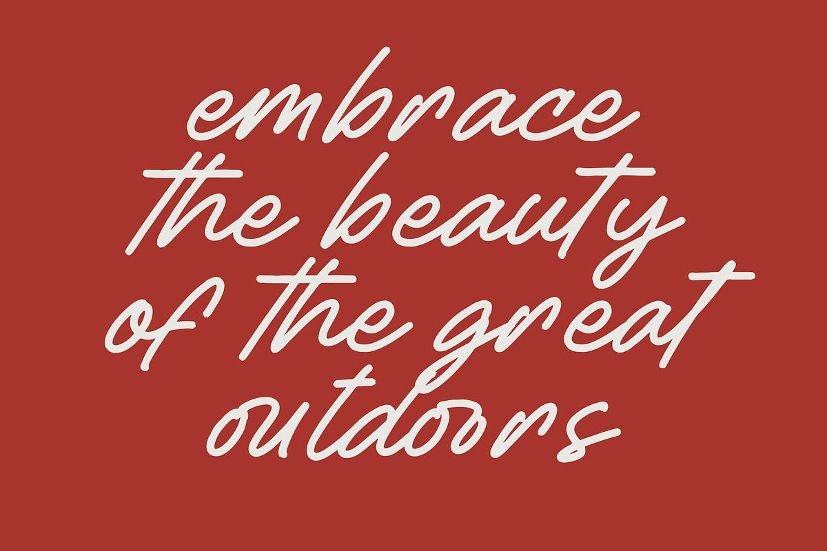 Betany Salena Monoline Brush Font, a Script Font by Letterena Studios Script (Photo 4 of 15)