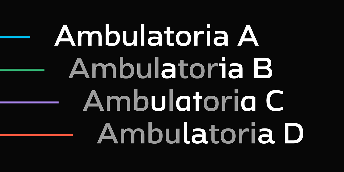 Ambulatoria B, a Sans Serif Font by Pepper Type (Photo 2 of 15)