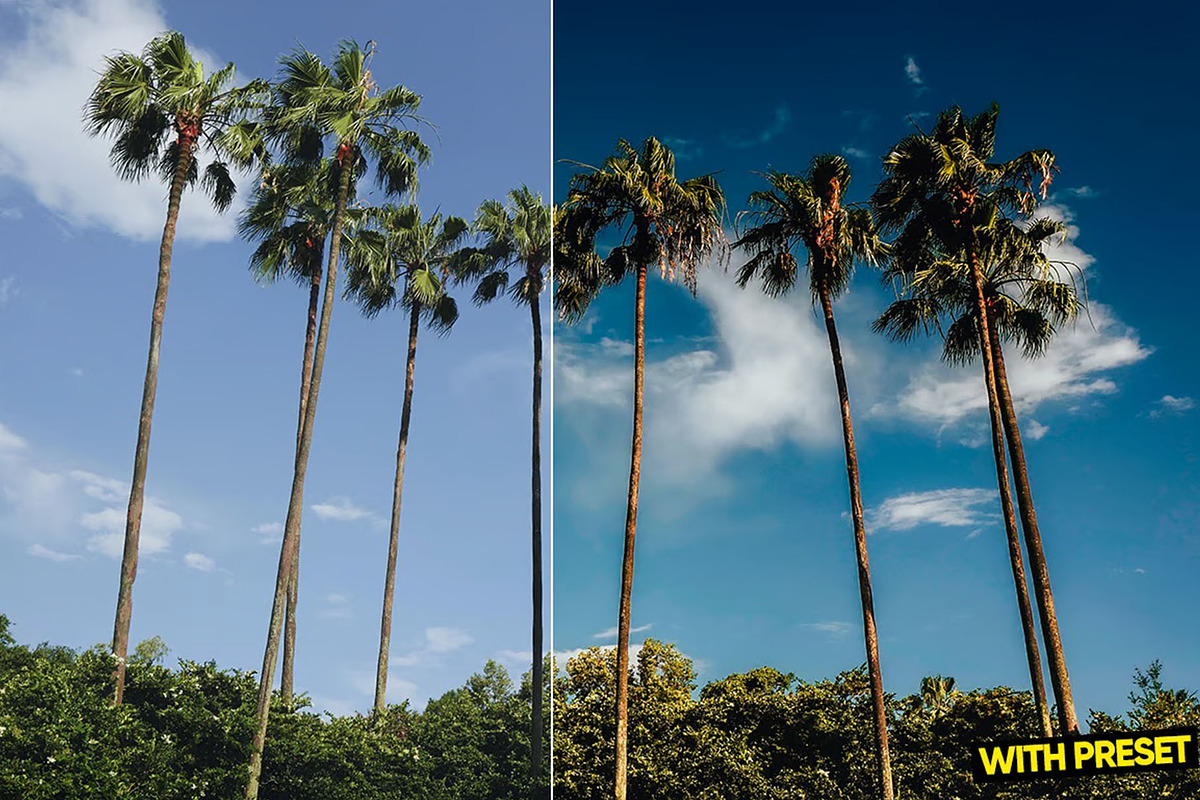 Tropical Presets for Lightroom, a Preset Add-On by Hubzway (Photo 2 of 5)