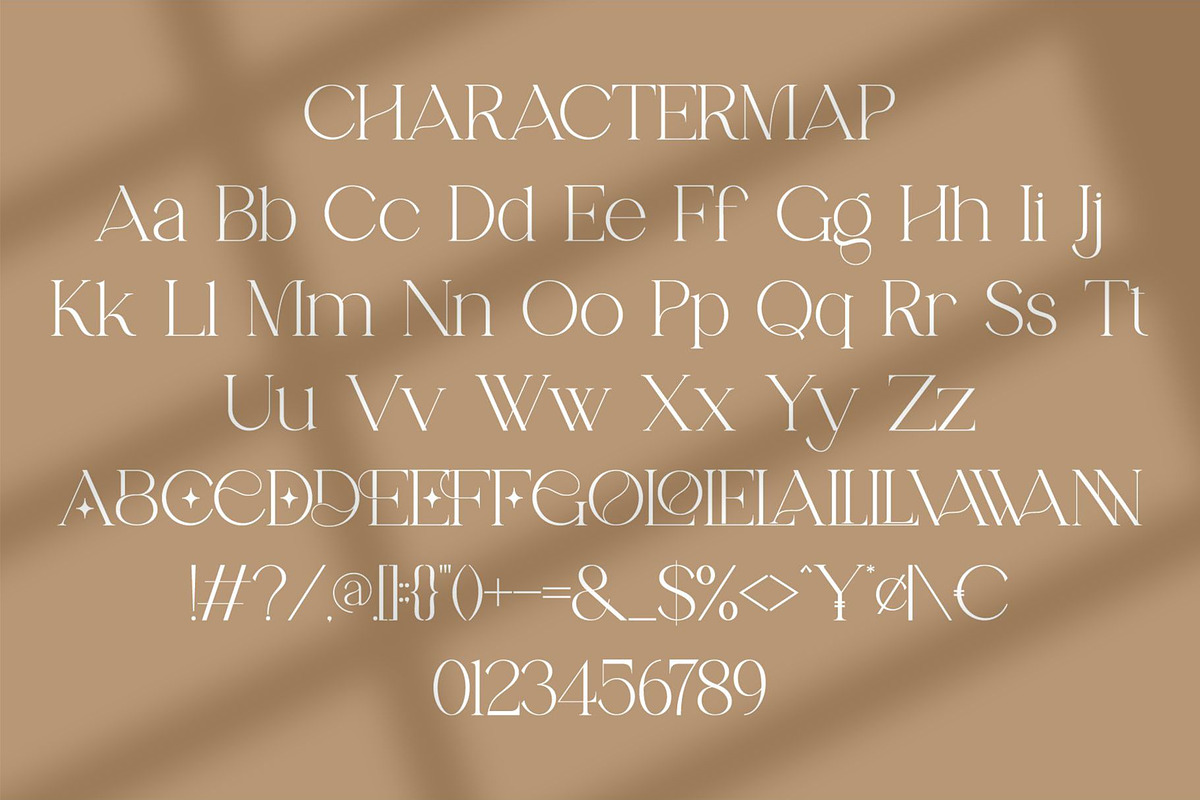 Ronnea || Modern Minimalist Serif, a Sans Serif Font by Idea Studio (Photo 10 of 10)