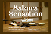 Cingker Modern Display Serif Font, a Serif Font by Perfectype (Thumbnail 3 of 8)