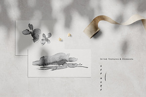 Ikebana Flower Illustrations