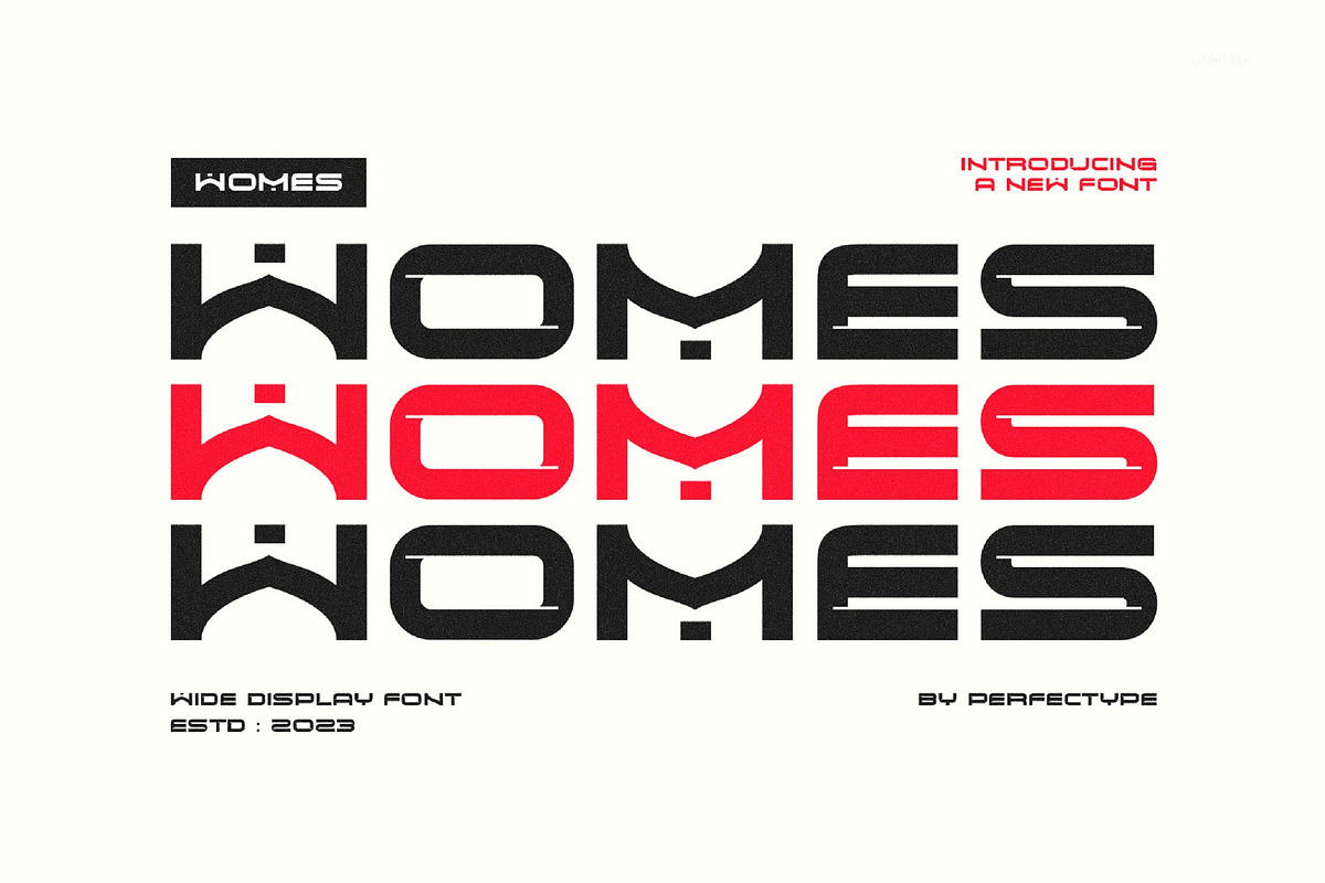 Womes Modern Technology Sans Serif, a Sans Serif Font by Perfectype (Photo 1 of 7)
