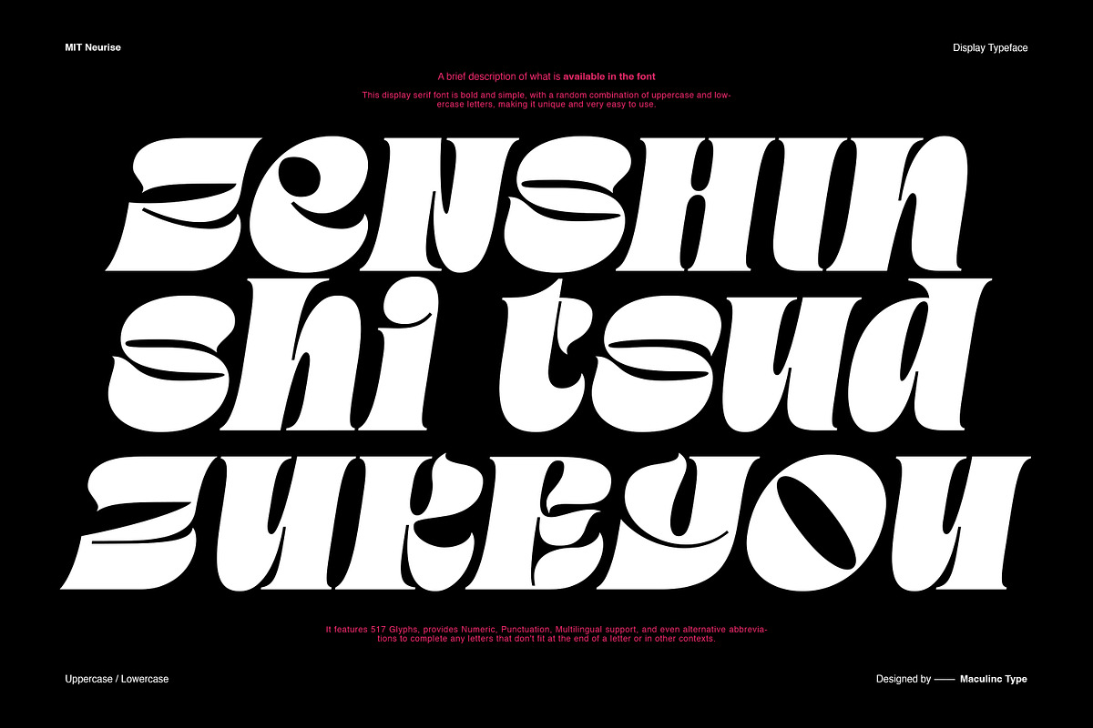 MIT Neurise, a Serif Font by Maculinc Type (Photo 2 of 12)