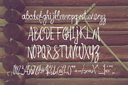 Autumn Feel font, a Script Font by Gleb Guralnyk (Thumbnail 3 of 5)