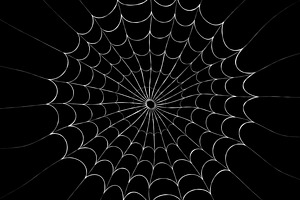 Spider Web Backgrounds