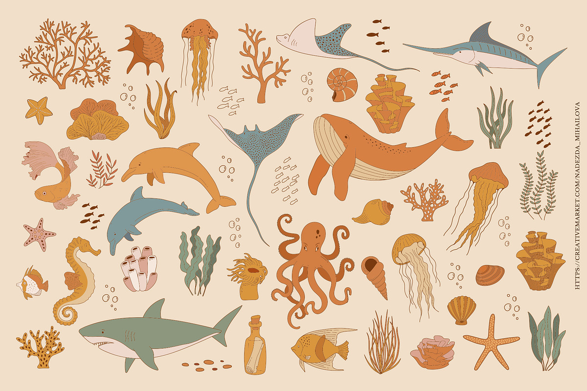 Sea Life Collection, an Animal Illustration by Nadezhda Mikhailova (Photo 12 of 18)