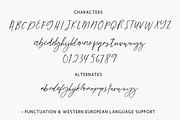 Tumbleweed Script, a Script Font by Beck McCormick (Thumbnail 10 of 10)