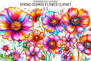 Whimsical Spring Cosmos Flower Clipa, an Illustration by designcity5 (Thumbnail 1 of 5)