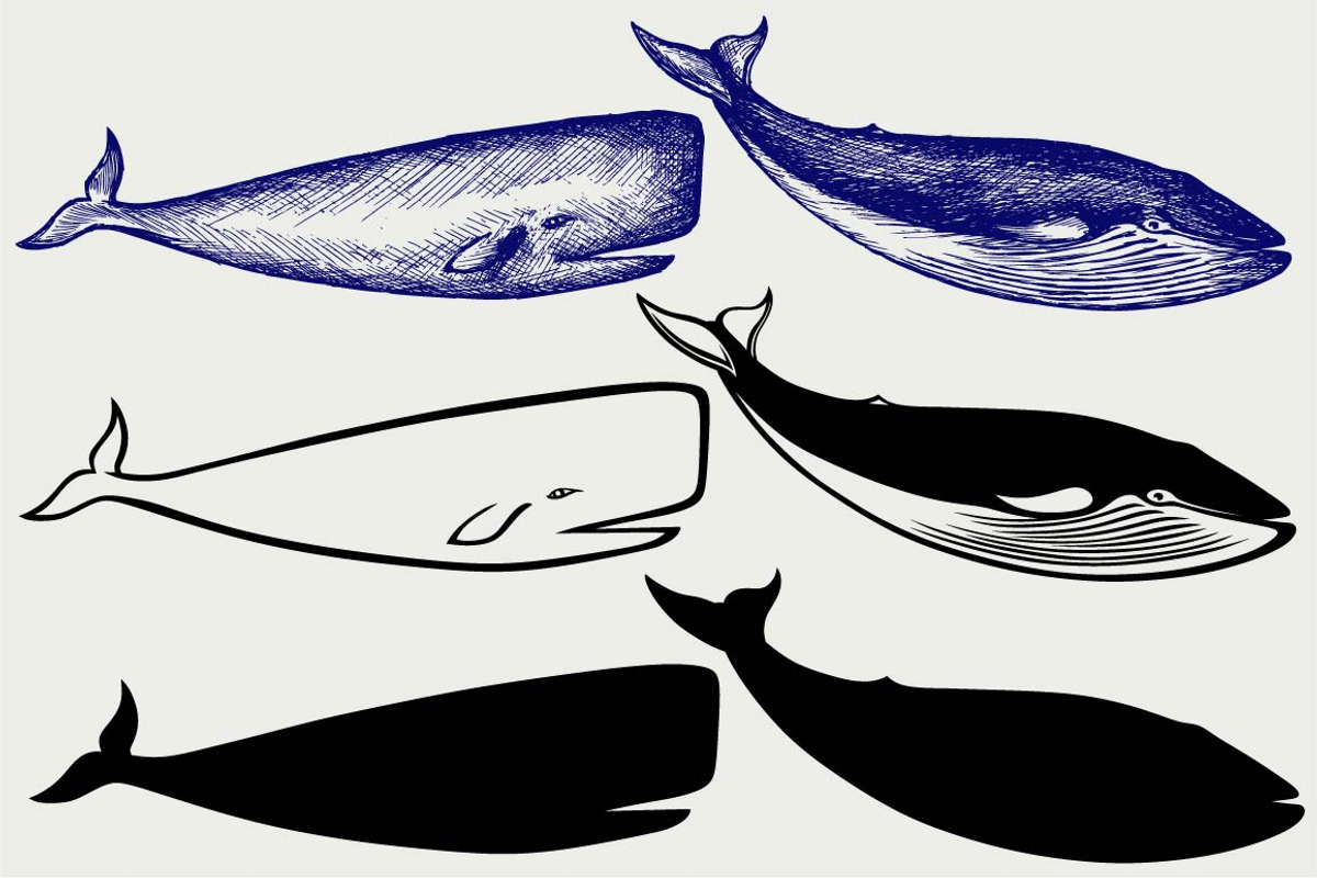 Humpback whale SVG, an Outline Icon by LineworkStock