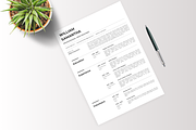 Professional Resume Template - CV, a Resume Template by Glücklich Studio (Thumbnail 3 of 5)