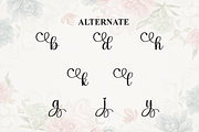 Evalyna | Script Font, a Handwritten Font by Scratchones (Thumbnail 8 of 9)