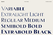 Biarritz Luxury Editorial Serif, a Serif Font by Genilson Santos (Thumbnail 3 of 17)