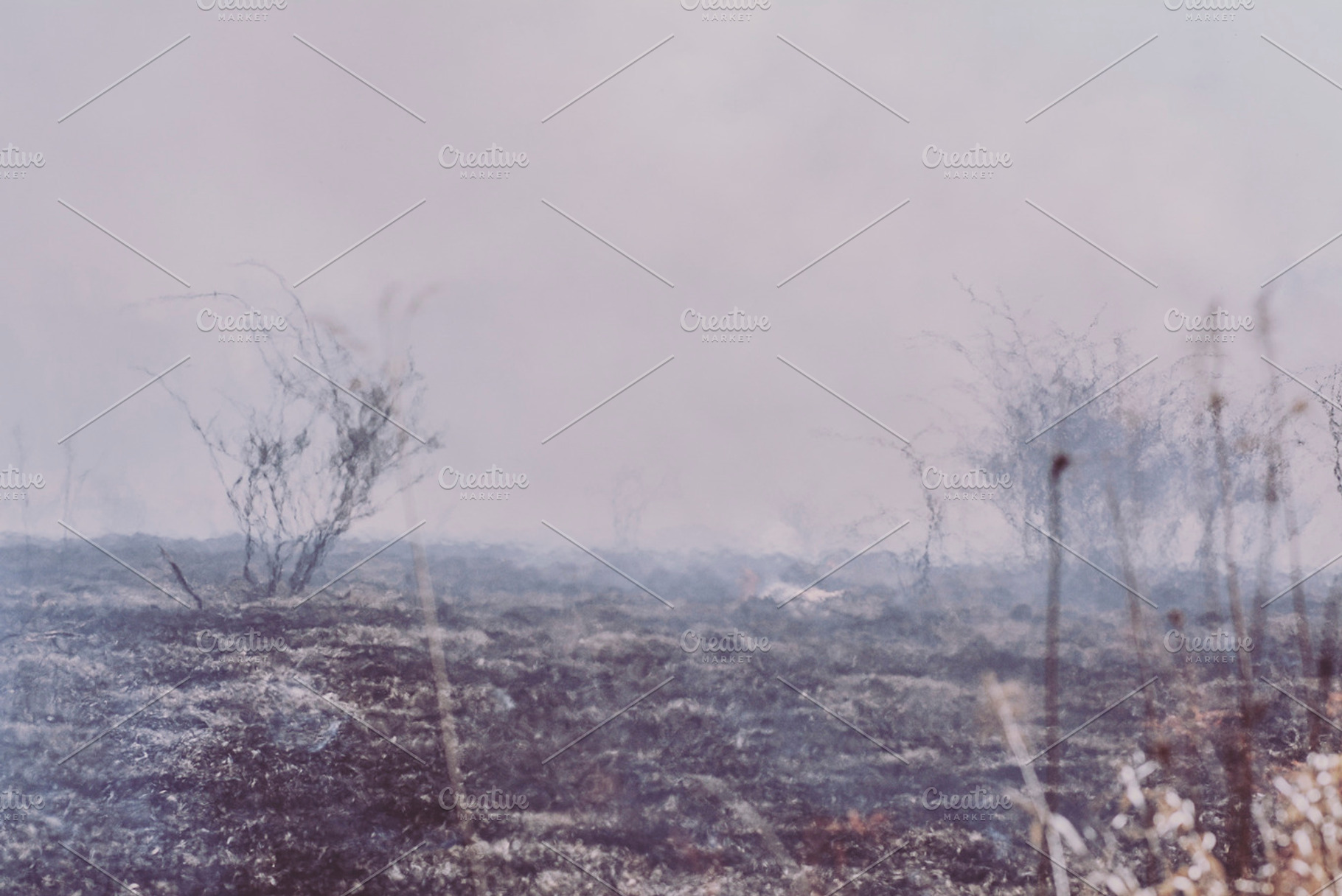 Field Smoke