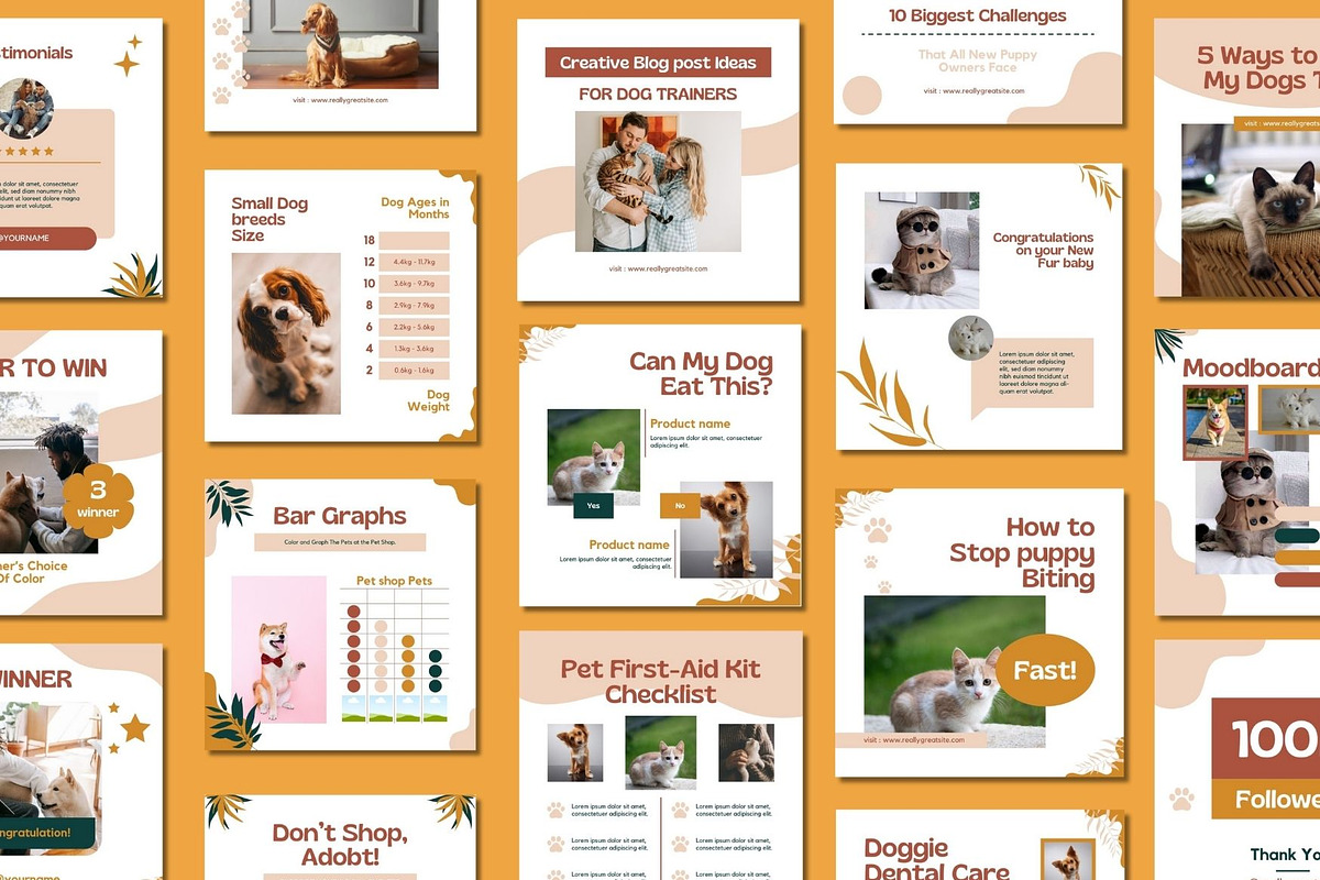 Pet Shop Social Media Post Canva, a Social Media Template by BoontenStudio (Photo 4 of 7)