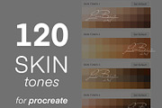 120 Procreate Skin Color Palette, a Palette Add-On by LiuBi Art (Thumbnail 1 of 2)