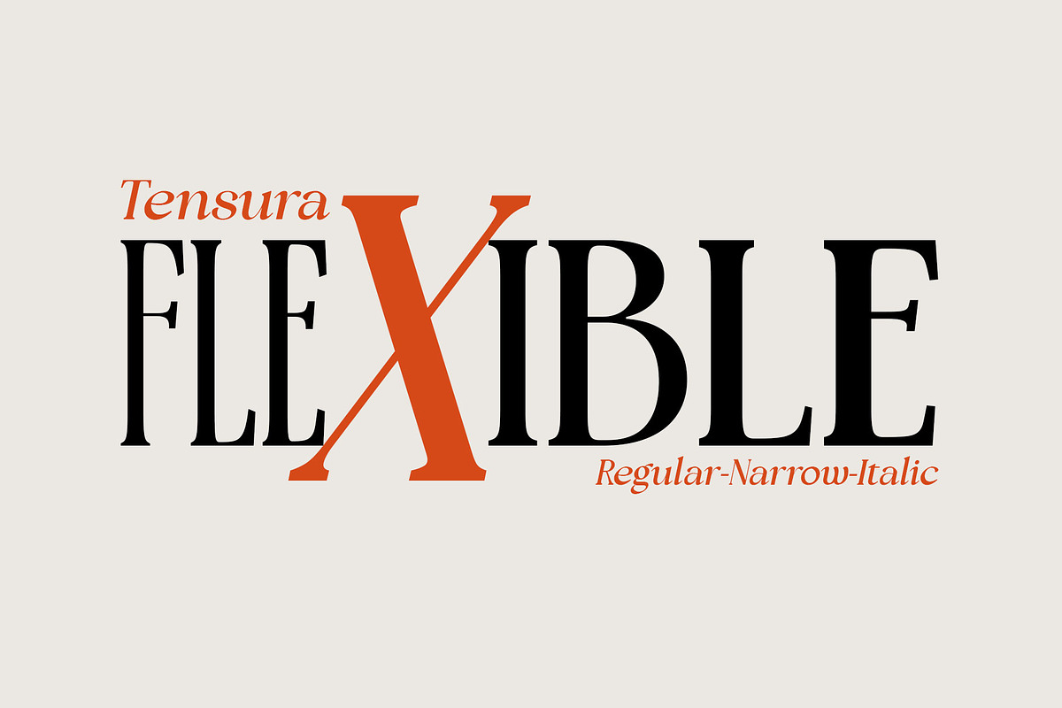 Tensura, a Serif Font by LuhopCreative (Photo 21 of 21)