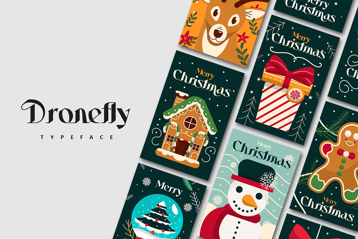 Dronefly Typeface, a Serif Font by alit design (Photo 14 of 15)
