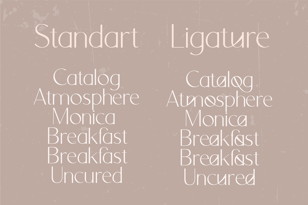 Orchid Sans Serif Font Family, a Sans Serif Font by Anna Zakharchenko (Photo 11 of 12)