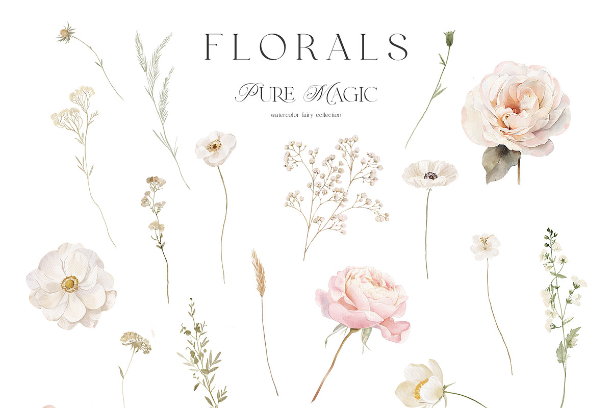 Pure Magic - Pangea Collection, a Decorative Illustration by Isabelle Salem (Photo 4 of 12)