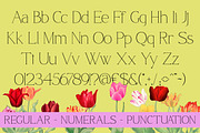 Qamora - Elegant Serif Font, a Serif Font by Sohel Studio (Thumbnail 9 of 10)