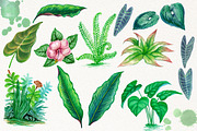 Tropical Leaves in the Jungle, an Illustration by Graphobia (Thumbnail 5 of 9)