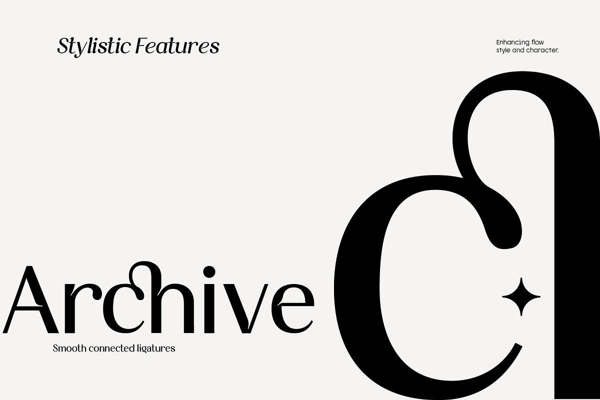 Aturia — High-contrast sans serif, a Sans Serif Font by Nollev (Photo 8 of 12)