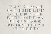 Thorn & Tale – A Refined Serif Font, a Serif Font by VP Fonts (Thumbnail 13 of 30)