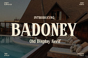 Badoney – Stylish Serif, a Serif Font by Craft Supply Co. (Thumbnail 1 of 8)