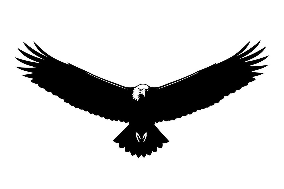 50 Flying Eagle Silhouette Vector Bu, an Illustration by Designs_River (Photo 29 of 51)