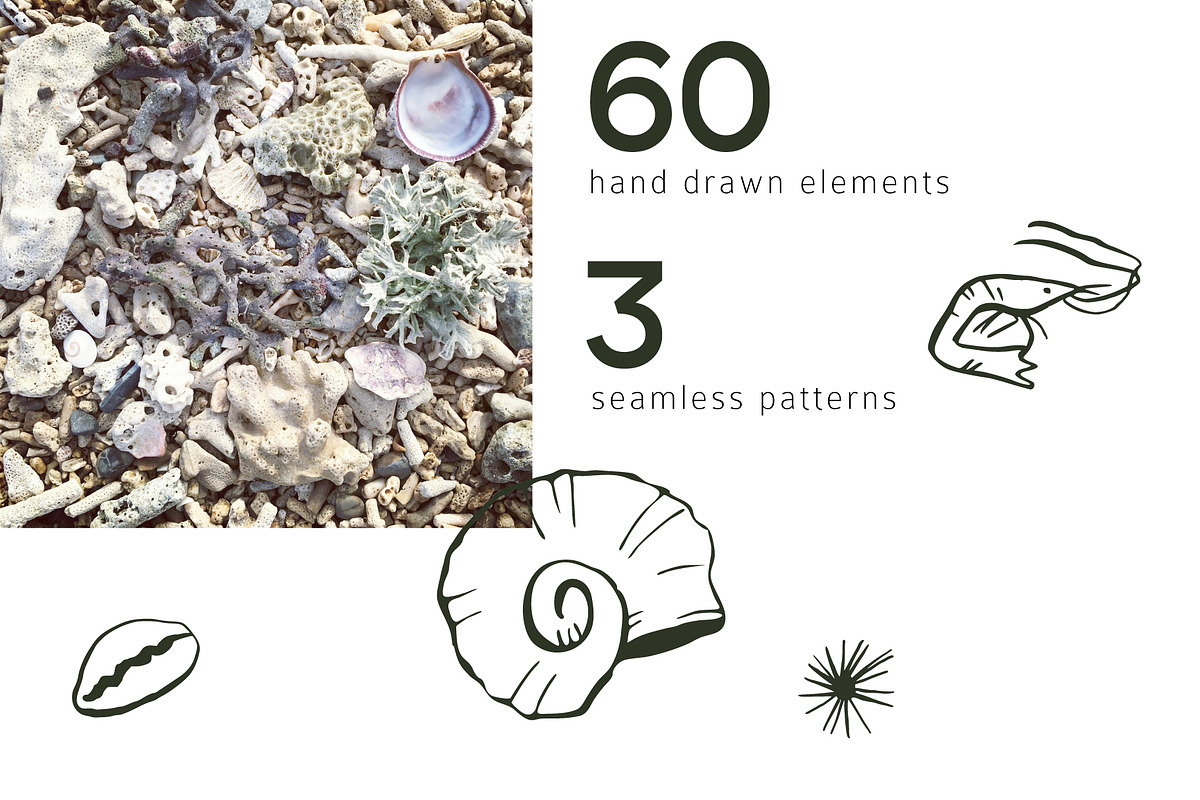INKED SEALIFE hand drawn vector set, an Animal Illustration by Lena Nikolaeva (Photo 2 of 11)